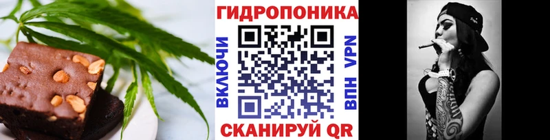 купить наркоту  Торопец  ссылка на мегу   Печенье с ТГК марихуана 