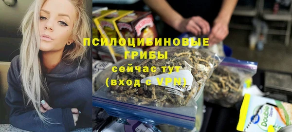 эйфоретик Беломорск