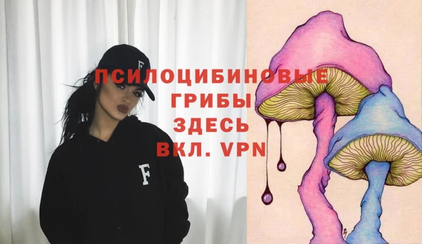 эйфоретик Беломорск