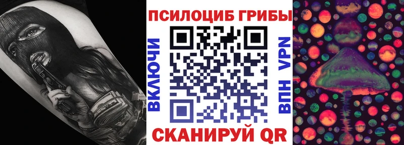 Псилоцибиновые грибы Psilocybine cubensis  Торопец 